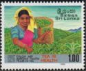 Field of Tea and Tea picker