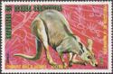 Eastern Grey Kangaroo (Macropus giganteus)
