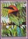 Broad-billed Motmot (Electron platyrhynchum)