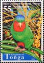 Blue-crowned Lorikeet (Vini australis)