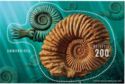 Ammonites