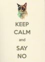 Keep calm and say no