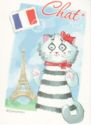 French cat