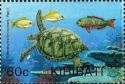 Bluestripe Snapper, Blue-barred Parrotfish, Green Sea Turtle