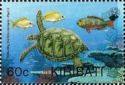 Bluestripe Snapper, Blue-barred Parrotfish, Green Sea Turtle