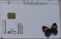 Deutsche Telekom (Schmetterling)