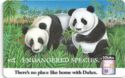 Endangered Species Panda