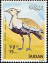 Buff-crested Bustard (Eupodotis gindiana)