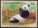 Giant Panda (Ailuropoda melanoleuca)