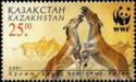 Turkmen Kulan (Equus hemionus kulan), Fighting