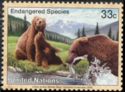 Brown Bear (Ursus arctos)