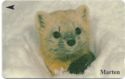 Marten