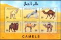 Camels