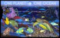 One planet one ocean