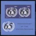 65th anniversary of the UN