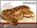 Arabian Horned Viper (Cerastes gasperettii)