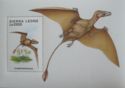 Rhamphorhynchus