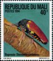 Jewel Beetle (Sternocera castanea)