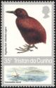 Inaccessible Island Rail (Atlantisia rogersi)