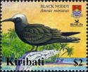 Black Noddy (Anous minutus)