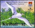 White-tailed Tropicbird (Phaethon lepturus)