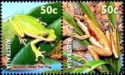 Northern Dwarf Tree Frog and Javelin Frog