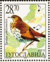 Song Thrush (Turdus philomelos)