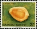 Money Cowry (Cypraea moneta)