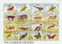The Gambia's wildlife