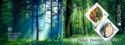 Europa (C.E.P.T.) 2011 - Forests