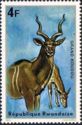 Greater Kudu (Tragelaphus strepsiceros)