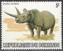 Black Rhinoceros (Diceros bicornis)