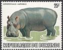 Hippopotamus (Hippopotamus amphibius)