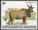 Common Eland (Taurotragus oryx)