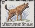 Spotted Hyena (Crocuta crocuta)