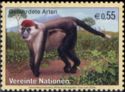 Collared Mangabey (Cercocebus torquatus) 