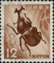 Japanese Rhinoceros Beetle (Allomyrina dichotoma)