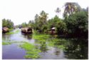 Back Waters in Kerala