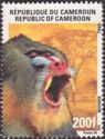 Baboon / Mandrill (Mandrillus sphinx)