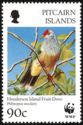 Henderson Island Fruit-Dove (Ptilinopus insularis)