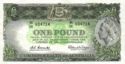 1 Pound