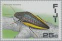 Jewel Beetle (Paracupta flaviventris)
