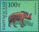 Striped Hyaena (Hyaena hyaena)