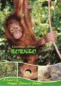 Borneo - A land of unique fauna and flora