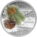 20 Dollars (Forests of Canada: Coast Shore Pine)
