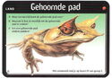 Gehoornde pad