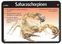Saharaschorpioen
