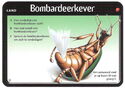 Bombardeerkever