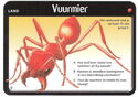 Vuurmier