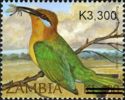 Böhm's Bee-eater (Merops boehmi)